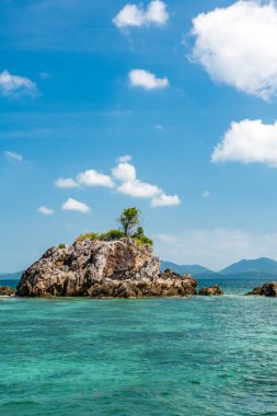 Andaman Denizi 'nde, Phuket kıyısında küçük bir kayalık adada yalnız bir ağaç.