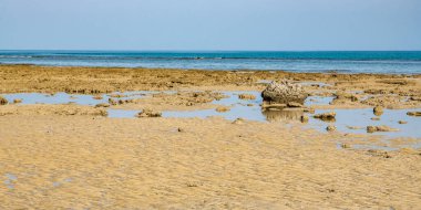 Andaman deniz kıyılarındaki gün ortası gelgiti deniz tabanındaki kum tepelerini ve mercan kalıntılarını ortaya çıkardı..