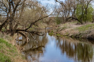 Baharın başlarında, mavi gökyüzü ve çıplak ağaçlar Orta Rusya 'daki Lopasnya nehrinin sularına yansıyor..