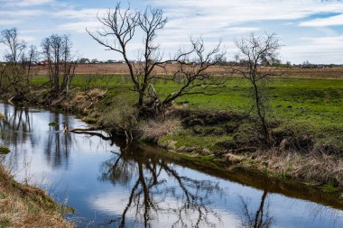 Baharın başlarında, mavi gökyüzü ve çıplak ağaçlar Orta Rusya 'daki Lopasnya nehrinin sularına yansıyor..