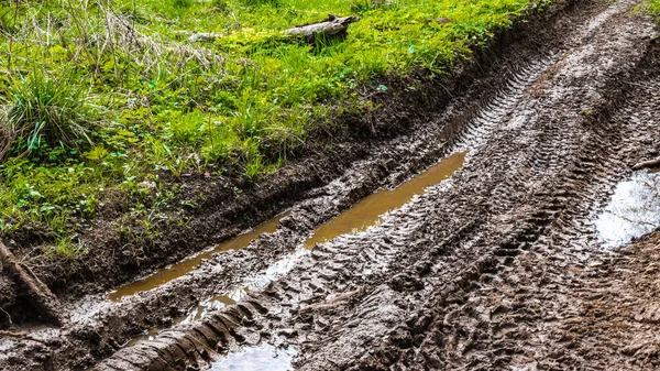 Köy yollarının derin çamurlu çukurlarında su birikintileri.
