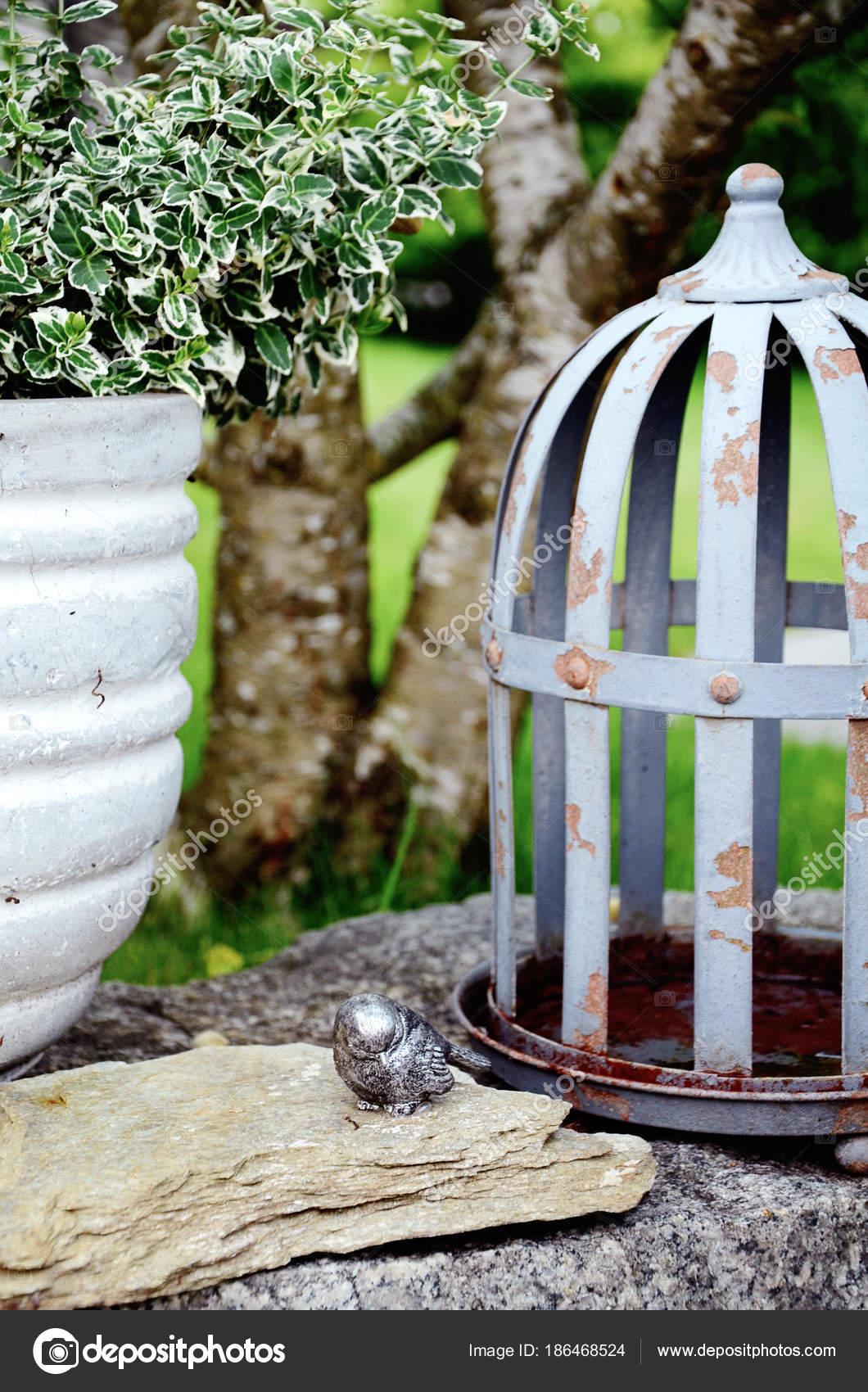Accordo con piante verdi e bianche di pietra del giardino — foto ... Giardini con pietre bianche