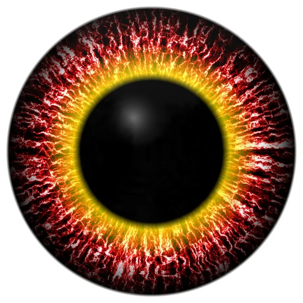 Red eye iris — Stock Photo, Image