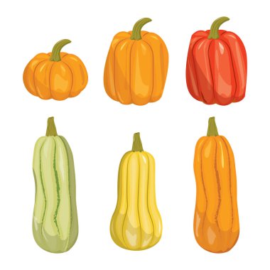 Balkabağı yassı simgeleri ayarlandı. Cadılar Bayramı için imza kiti. Şükran Günü piktogramı çiftlik hasadı, yakın plan kabak, sebze. Basit balkabağı karikatür renkli simge izole edilmiş beyaz vektör çizimi