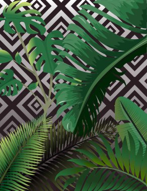Tropikal palmiye yaprakları, orman yaprak sorunsuz vektör çiçek desenli arka plan