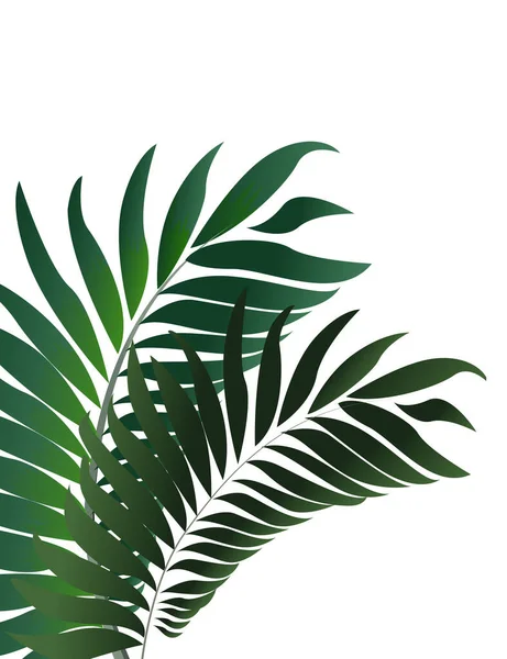 Tropiska Palmblad Jungle Leaf Sömlös Vector Blommönster Bakgrund — Stock vektor