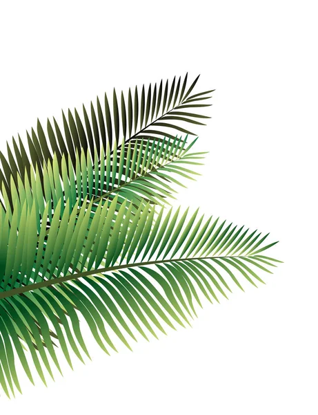 Tropiska Palmblad Jungle Leaf Sömlös Vector Blommönster Bakgrund — Stock vektor