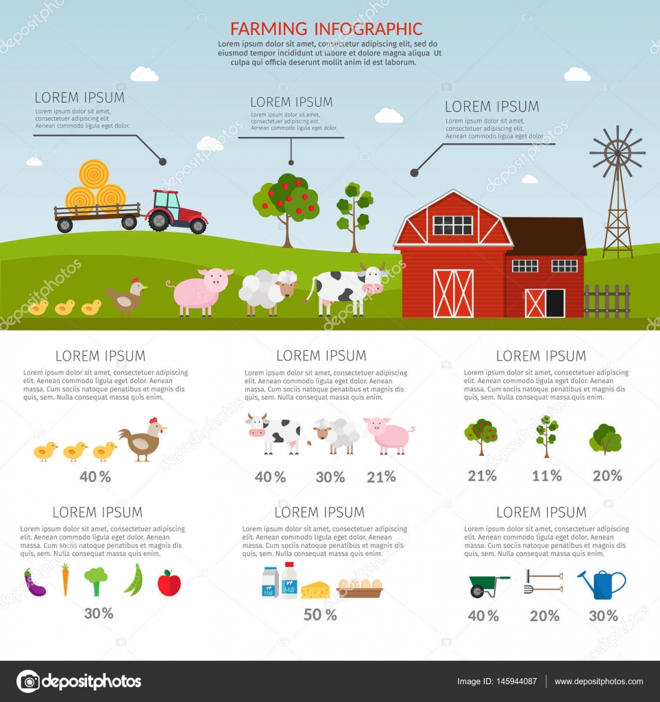 Garden Colorful Designs Elements Vector Farm Illustration