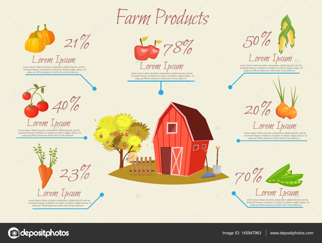Garden Colorful Designs Elements Vector Farm Illustration