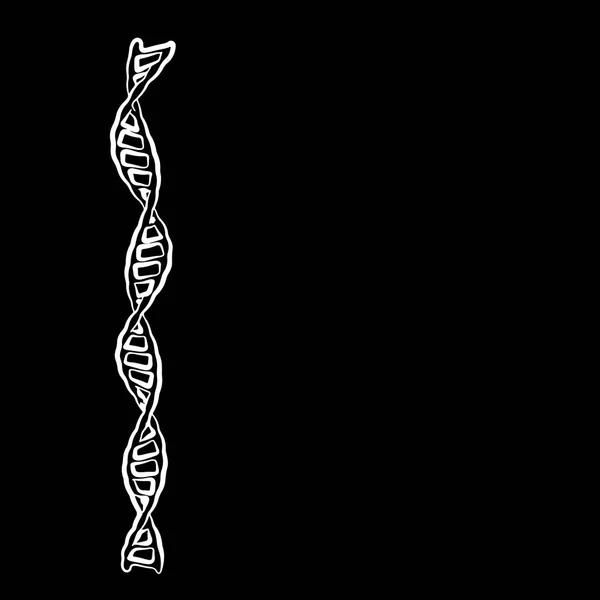DNA spiral. Isolated on black background. Vector outline — Stock Vector