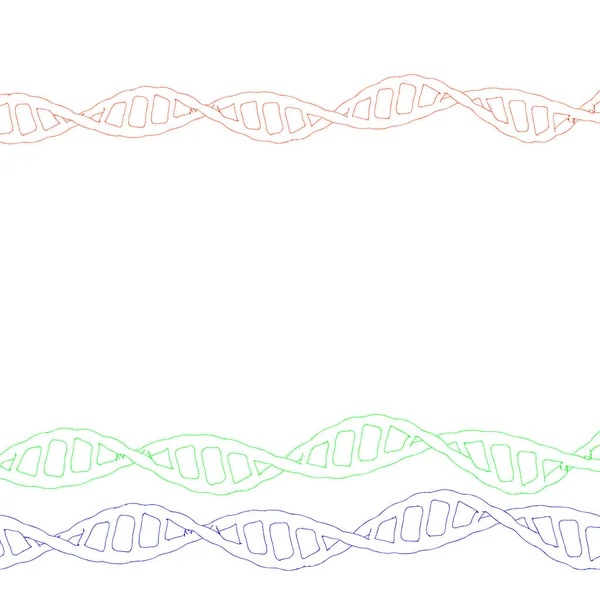 DNA spiral. Isolated on white background. Vector outline illustration. — Stock Vector