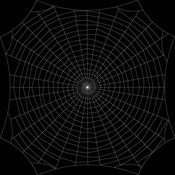 Spiderweb. Isolated on black background. Vector outline illustration. — Stock Vector