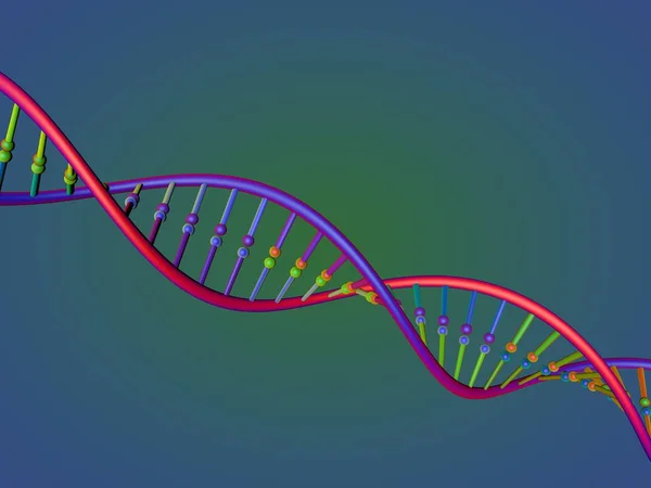 ДНК-ланцюг. 3D ілюстрація рендеринга . — стокове фото
