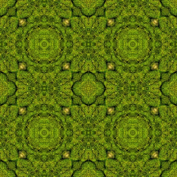 Fondo de musgo verde decorativo abstracto. Patrón sin costura. —  Fotos de Stock