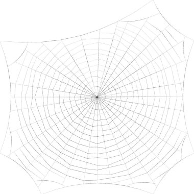 SpiderWeb. Beyaz arka plan üzerinde izole. Kroki çizim.