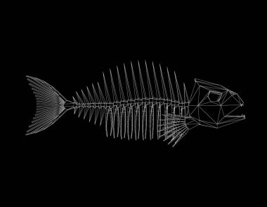 Poligonal balık iskeleti. Siyah arka plan üzerine izole. Vektör ou