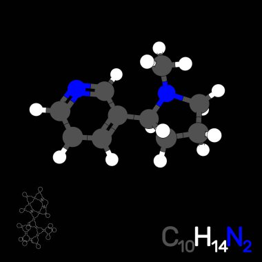 Nikotin model molekül. Siyah arka plan üzerine izole. Vektör Il