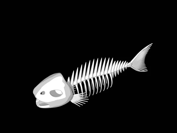 Squelette de poisson. Isolé sur fond noir. rendu 3D illust — Photo