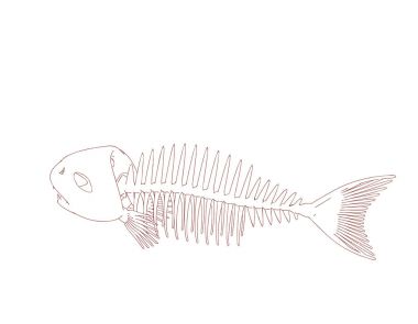 Balık iskeleti. Beyaz arka plan üzerinde izole. Vektör anahat Hüseyin