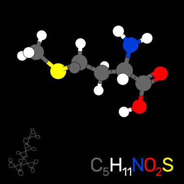 Metiyonin model molekül. Siyah arka plan üzerine izole. Vektör 