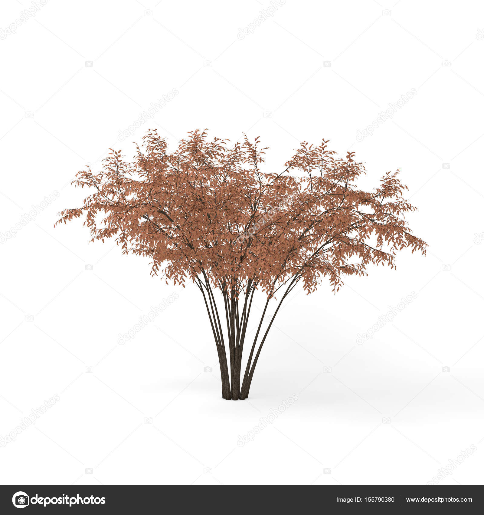 Barberri Tree Isolated On White Background 3d Rendering Illust Stock Photo C Eestingnef