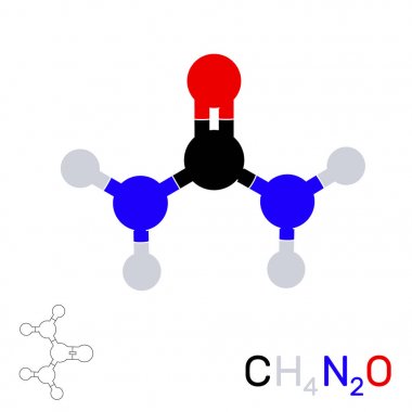 Üre model molekül. Beyaz arka plan üzerinde izole. Vektör illustr