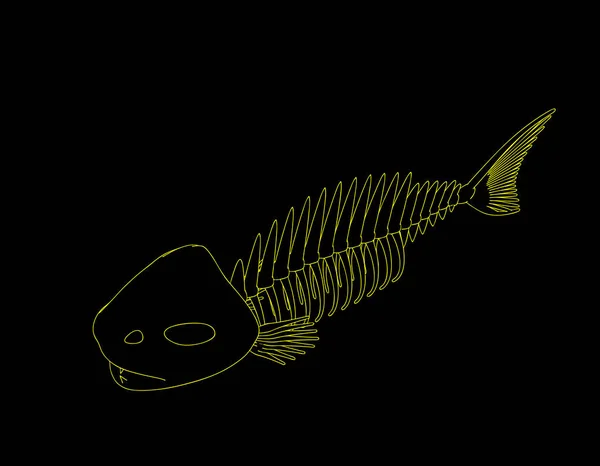 Squelette de poisson. Isolé sur fond noir. Schéma vectoriel illu — Image vectorielle