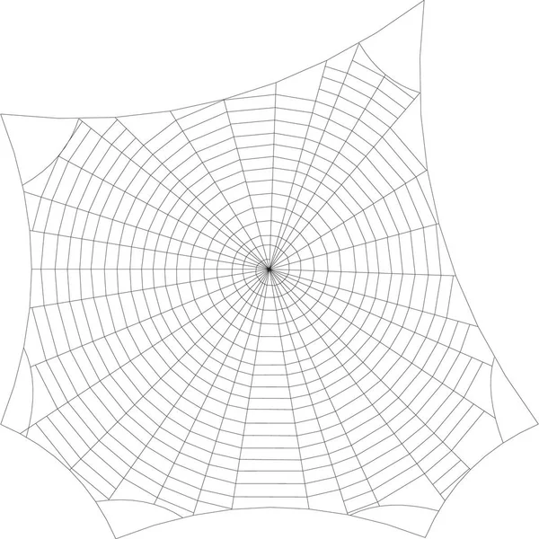SpiderWeb. Beyaz arka plan üzerinde izole. Vektör anahat illustra — Stok Vektör