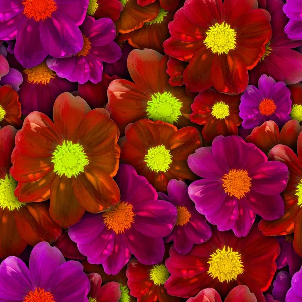 Красочный фон с цветком георгины. Бесшовный рисунок . — стоковое фото