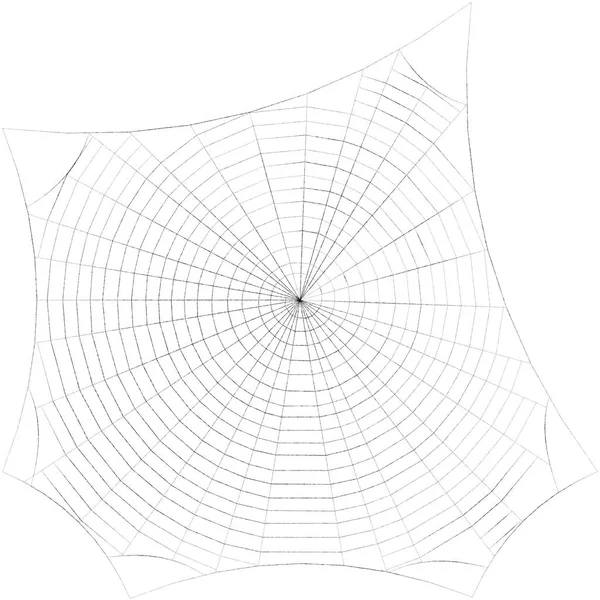 Spiderweb. Isolerade på vit bakgrund. Skiss illustration. — Stockfoto