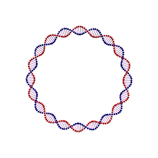 DNA abstrak spiral.Circle. Terisolasi di latar belakang putih. Vektor - Stok Vektor