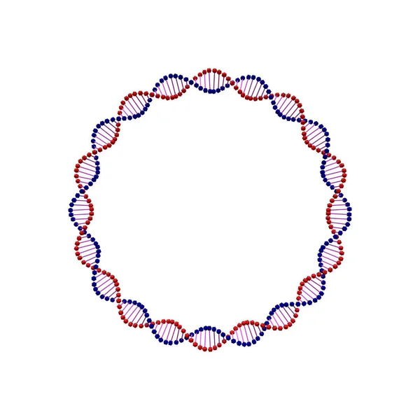 Soyut Dna sarmal. Daire. Beyaz arka plan üzerinde izole. Vektör