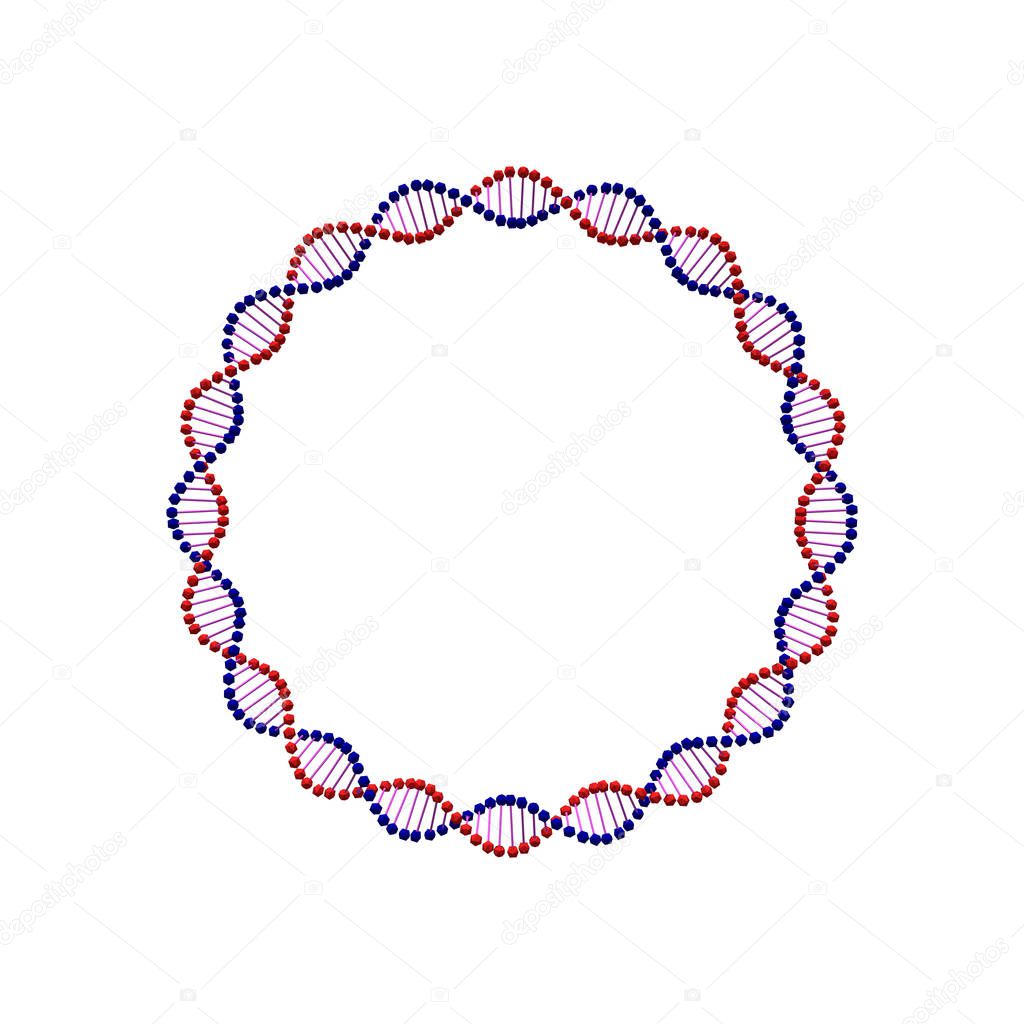 Abstract DNA spiral.Circle. Isolated on white background. Vector