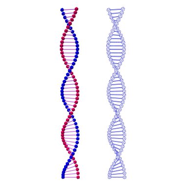 Soyut Dna sarmal. Beyaz arka plan üzerinde izole. Vektör illust