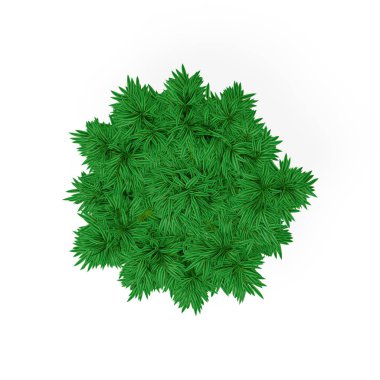 Bambu ağacı. Beyaz arka plan üzerinde izole. 3D işleme illustra