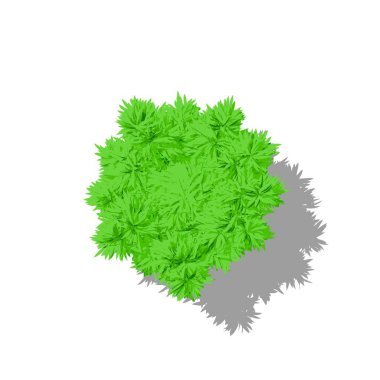 Bambu ağacı. Beyaz arka plan üzerinde izole. Karikatür tarzı. En iyi v