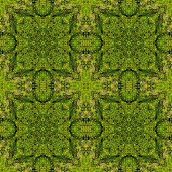 Abstrakte dekorative grüne Moos Hintergrund. Nahtloses Muster. — Stockfoto