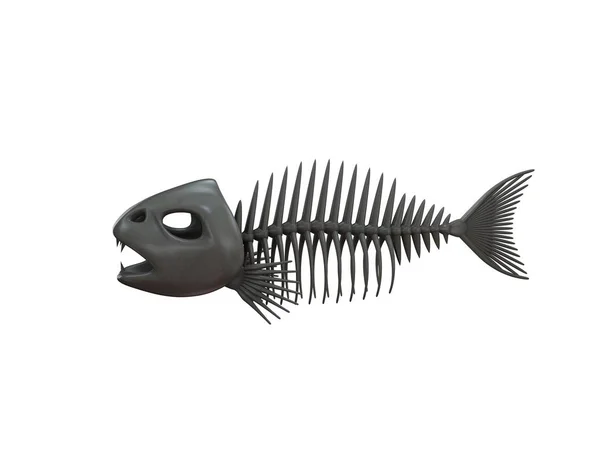 Vis skelet. Geïsoleerd op een witte achtergrond. 3D rendering illust — Stockfoto