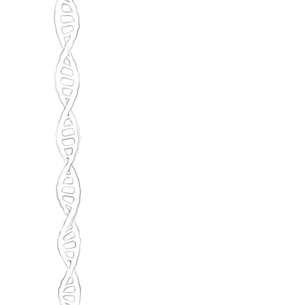 Spirala DNA. Na białym tle na białym tle. Szkic ilustracji. — Zdjęcie stockowe