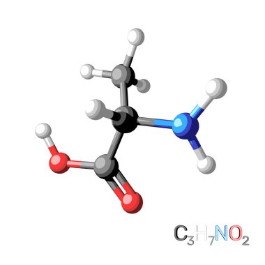 Alanin model molekül. Beyaz arka plan üzerinde izole. 3D renderi