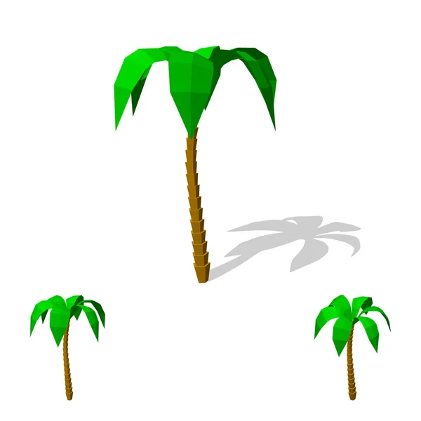 Palmera poligonal. Aislado sobre fondo blanco. 3d Vector illustr — Archivo Imágenes Vectoriales