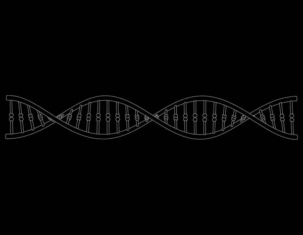 Faixa de ADN. Isolado em fundo preto. Esboço do vetor illustr — Vetor de Stock