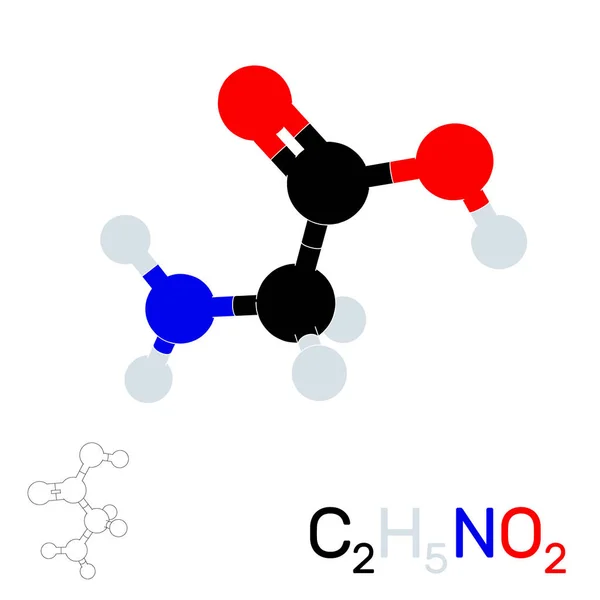 Molécula modelo glicina. Aislado sobre fondo blanco. Vector enfermo — Archivo Imágenes Vectoriales