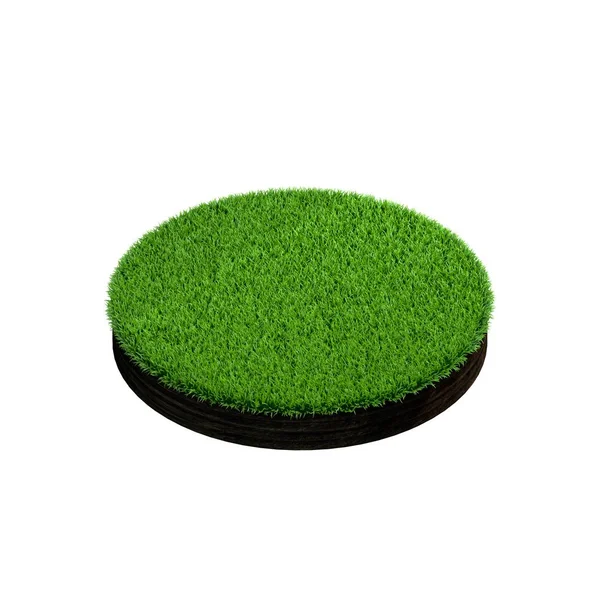 Querschnitt des Bodens mit Gras. isoliert auf weißem Hintergrund — Stockfoto