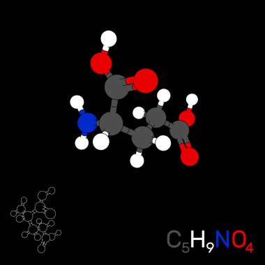 Glutamik asit model molekül. Siyah arka plan üzerine izole. Vect
