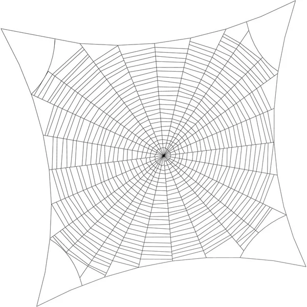 Telaraña. Aislado sobre fondo blanco. Esquema vectorial illustra — Archivo Imágenes Vectoriales