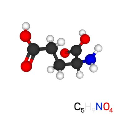 Glutamik asit model molekül. Beyaz arka plan üzerinde izole. 3D V