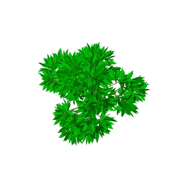 Apfelbaum. isoliert auf weißem Hintergrund. 3D-Vektor-Illustration — Stockvektor