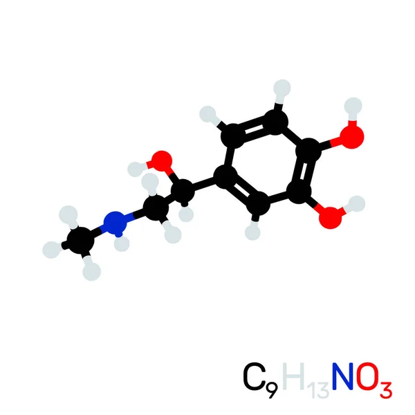 Molécula modelo adrenalina. Aislado sobre fondo blanco. Vector — Archivo Imágenes Vectoriales