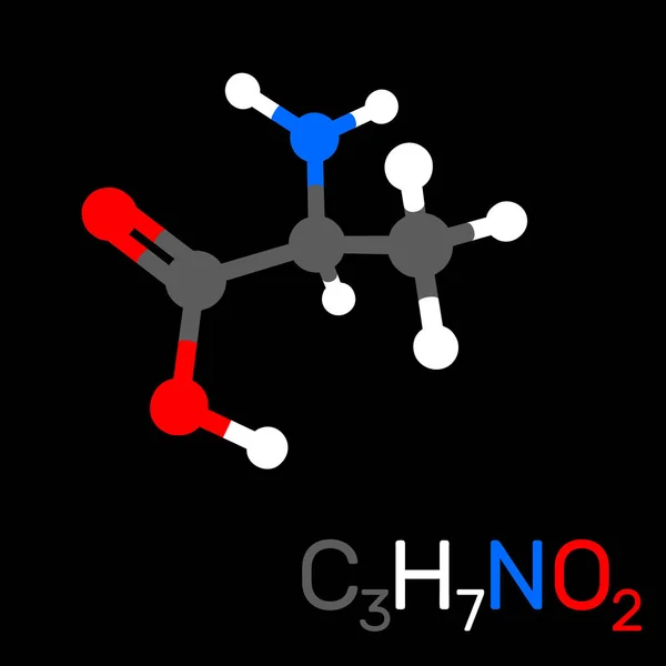 Molécula modelo alanina. Aislado sobre fondo negro. Vector enfermo — Archivo Imágenes Vectoriales